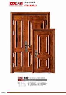 大力门业 大喜精品门新品上市 给您见证不一样的我 门