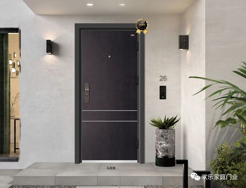 欢乐家庭门业2020年高端防护安全门最新样品赏析