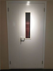 医用钢质平开门厂 潮州医用钢质平开门 百事特门业