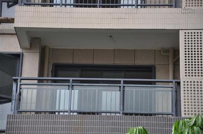 产品具有外观精美,色泽鲜艳,自洁环保供应商:福州金盛建装门业